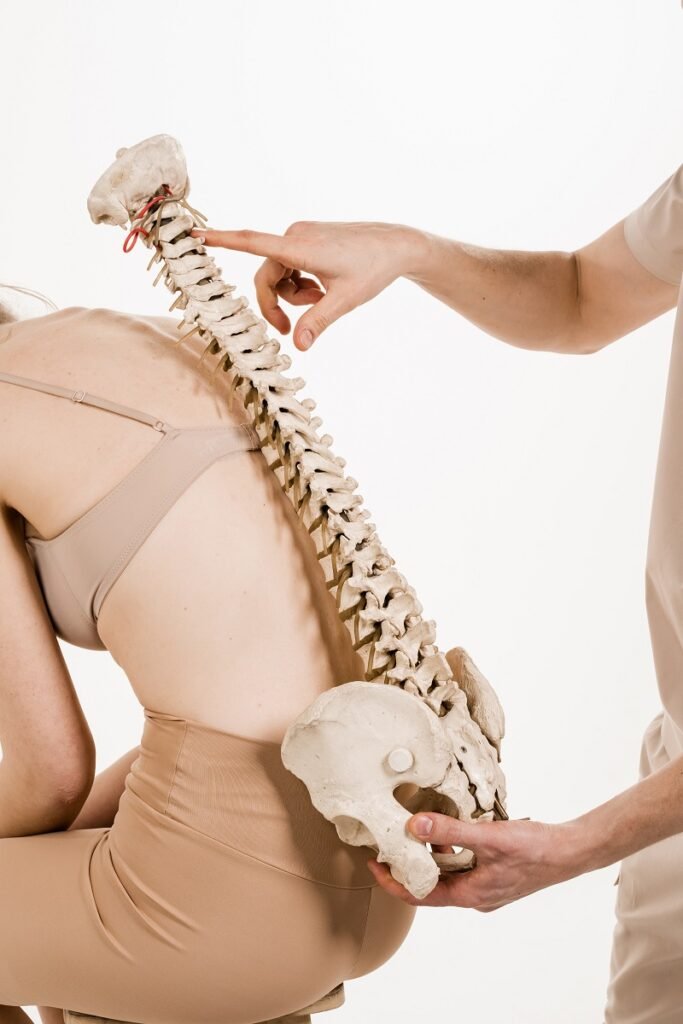 Doctor examining spine model on patient back for spine problem diagnosis